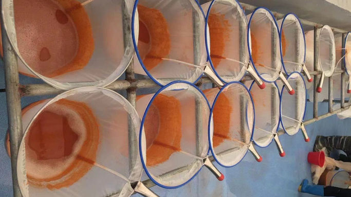 Artemia Hatchery Farm
